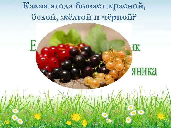 Какая ягода бывает красной, белой, жёлтой и чёрной? Смородина Крыжовник Ежевика Земляника