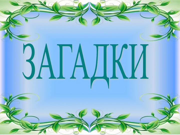 ЗАГАДКИ