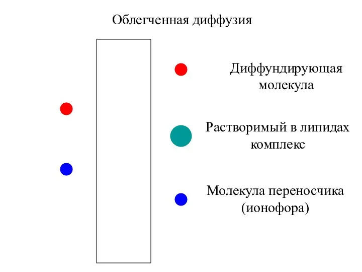 Облегченная диффузия Диффундирующая молекула Молекула переносчика (ионофора) Растворимый в липидах комплекс