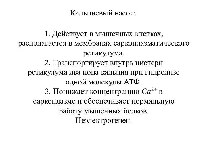 Кальциевый насос: 1. Действует в мышечных клетках, располагается в мембранах саркоплазматического ретикулума.