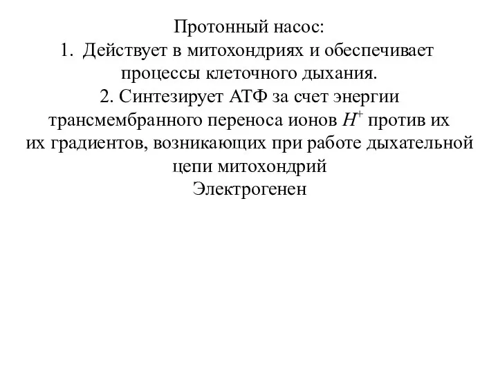 Протонный насос: Действует в митохондриях и обеспечивает процессы клеточного дыхания. 2. Синтезирует