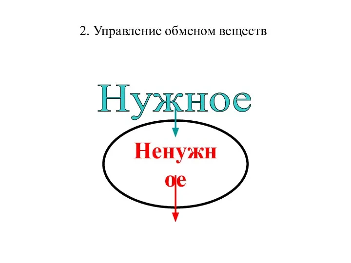 2. Управление обменом веществ Ненужное Нужное