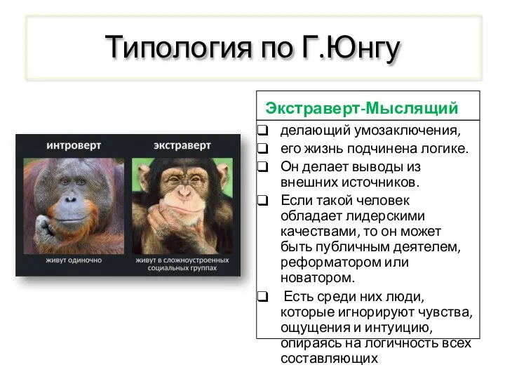 Типология по Г.Юнгу Экстраверт-Мыслящий делающий умозаключения, его жизнь подчинена логике. Он делает