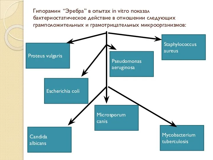 Гипорамин “Эребра” в опытах in vitro показал бактериостатическое действие в отношении следующих