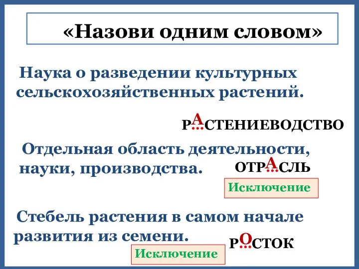 «Назови одним словом» Наука о разведении культурных сельскохозяйственных растений. Р…СТЕНИЕВОДСТВО Отдельная область