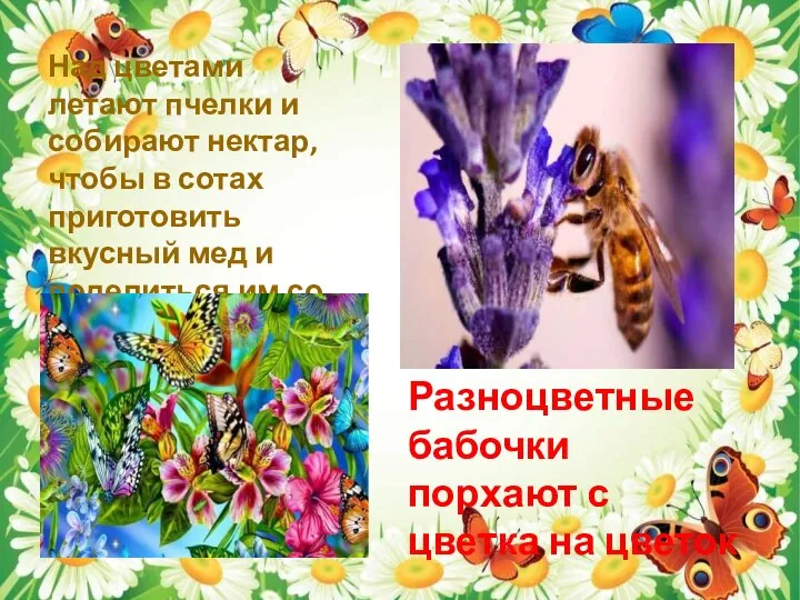 Над цветами летают пчелки и собирают нектар, чтобы в сотах приготовить вкусный