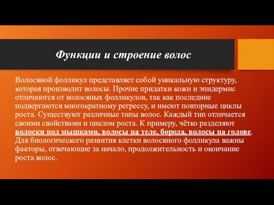 Функции и строение волос Волосяной фолликул представляет собой уникальную структуру, которая производит