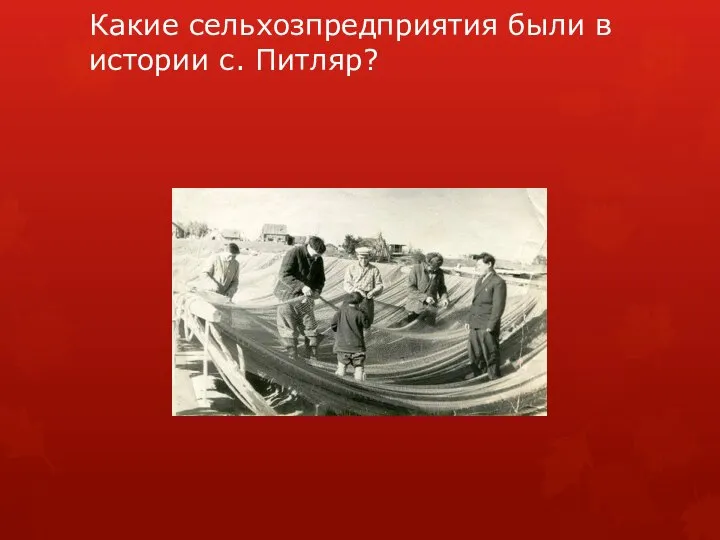 Какие сельхозпредприятия были в истории с. Питляр?