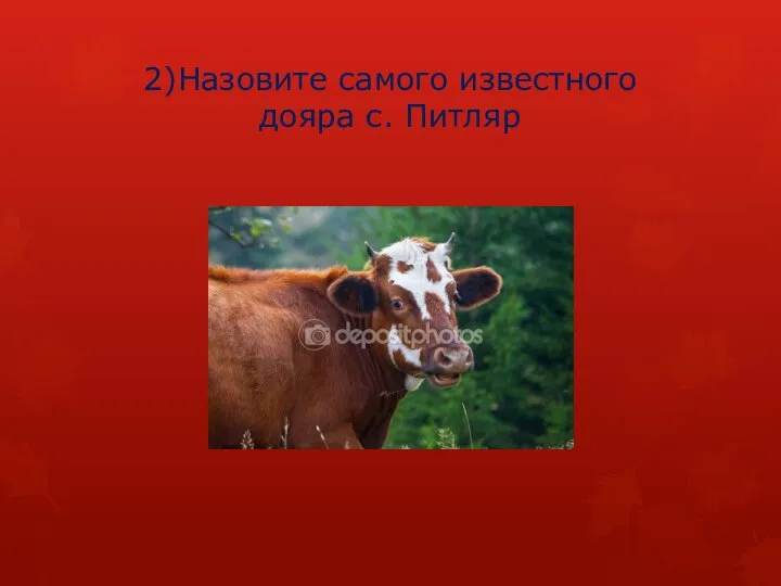 2)Назовите самого известного дояра с. Питляр