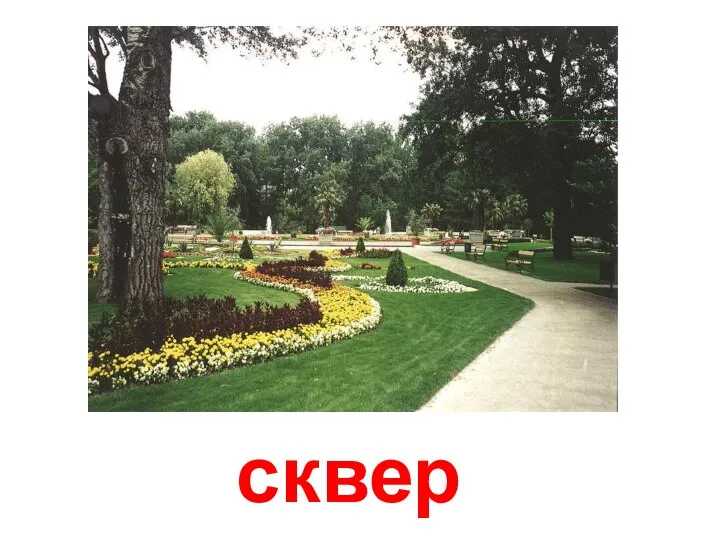 сквер