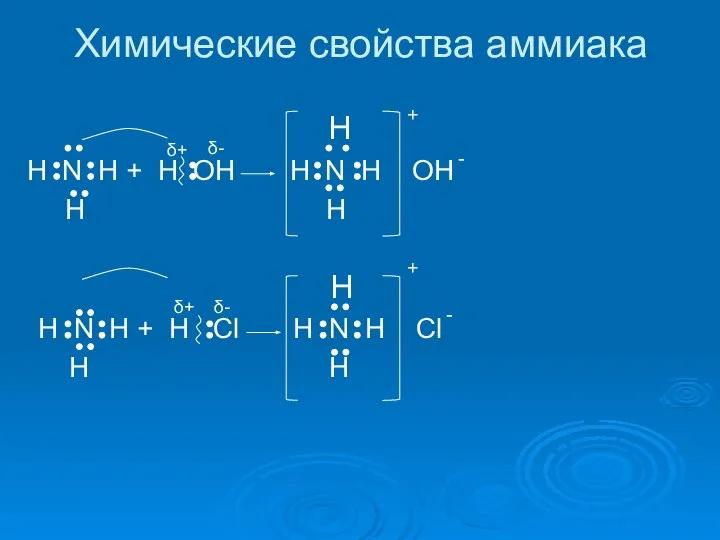 Химические свойства аммиака H H N H + H OH H N