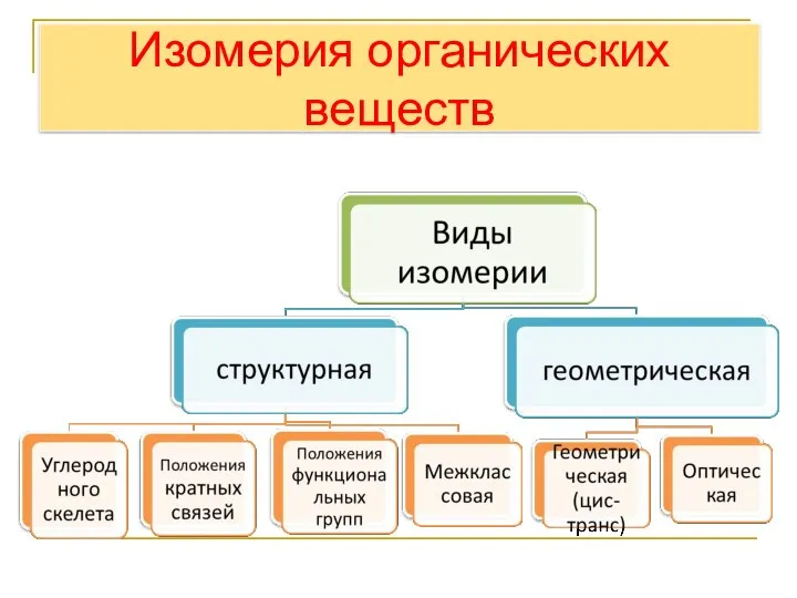 Изомерия органических веществ