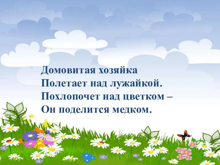 Домовитая хозяйка Полетает над лужайкой. Похлопочет над цветком – Он поделится медком.