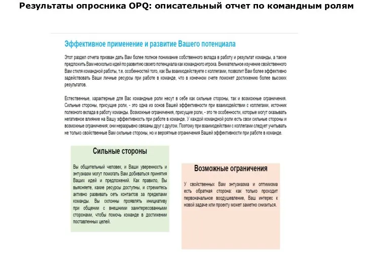 Результаты опросника OPQ: описательный отчет по командным ролям