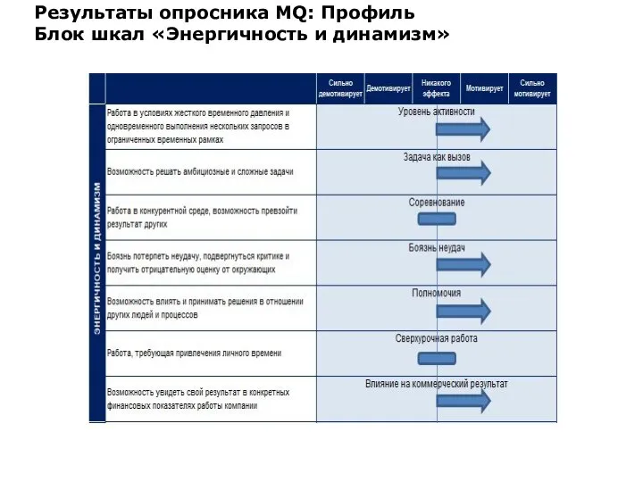 Результаты опросника MQ: Профиль Блок шкал «Энергичность и динамизм»