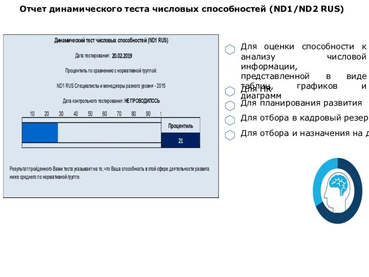 Отчет динамического теста числовых способностей (ND1/ND2 RUS) Для HR Для планирования развития