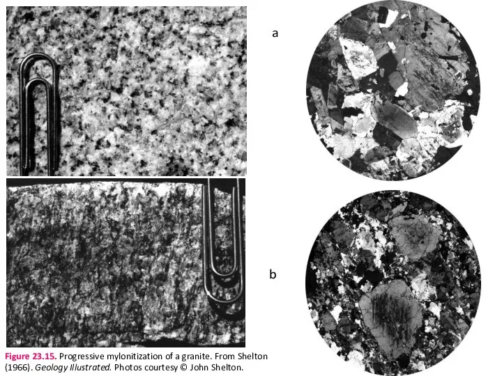 a b Figure 23.15. Progressive mylonitization of a granite. From Shelton (1966).