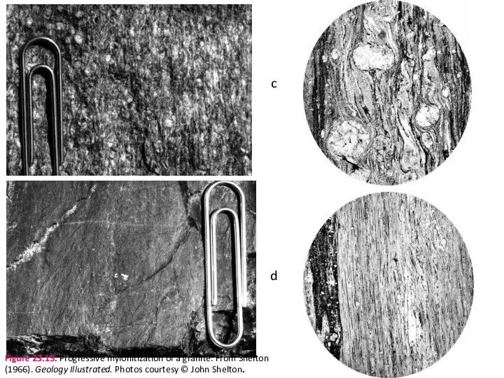 d c Figure 23.15. Progressive mylonitization of a granite. From Shelton (1966).