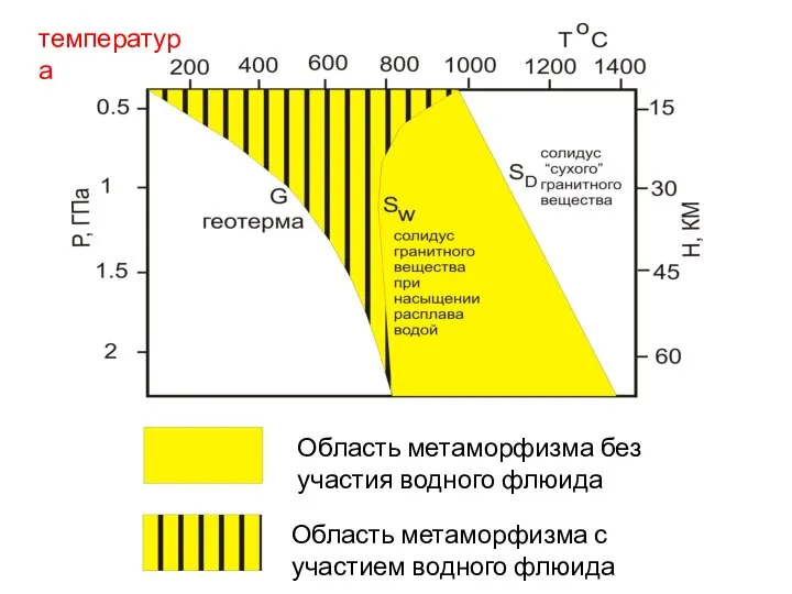 температура Область метаморфизма с участием водного флюида Область метаморфизма без участия водного флюида