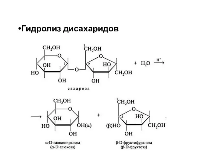 Гидролиз дисахаридов