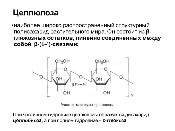 Целлюлоза наиболее широко распространенный структурный полисахарид растительного мира. Он состоит из β-глюкозных