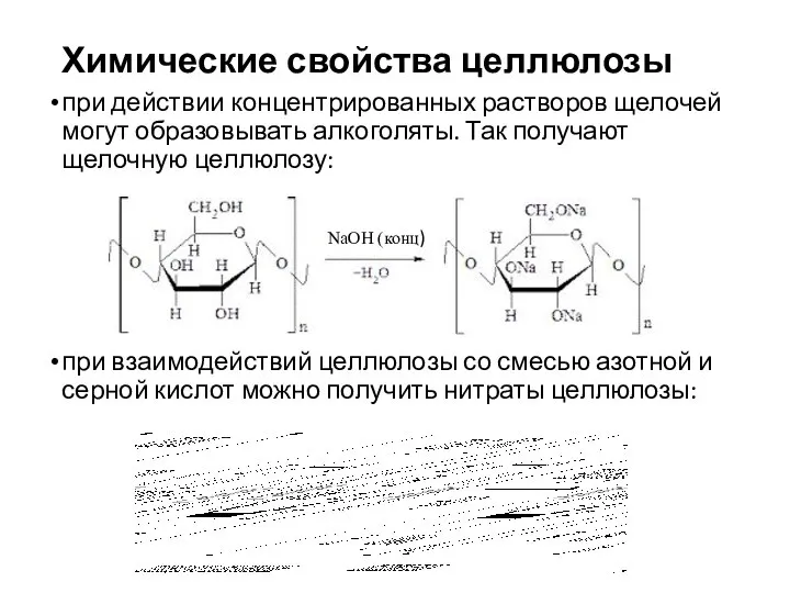 Химические свойства целлюлозы при действии концентрированных растворов щелочей могут образовывать алкоголяты. Так