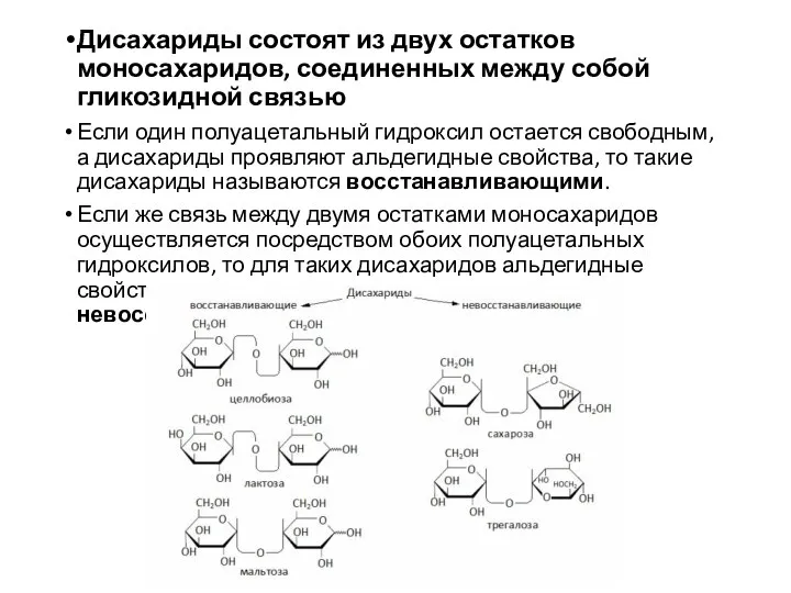 Дисахариды состоят из двух остатков моносахаридов, соединенных между собой гликозидной связью Если