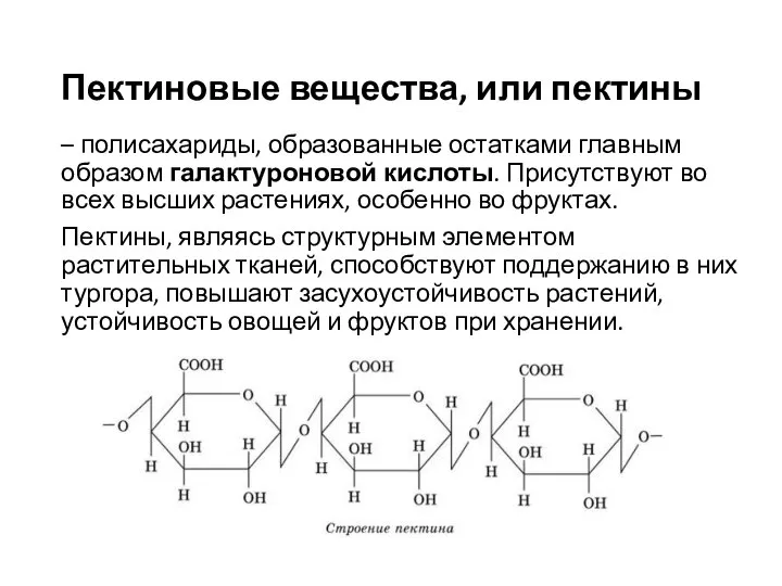 Пектиновые вещества, или пектины – полисахариды, образованные остатками главным образом галактуроновой кислоты.