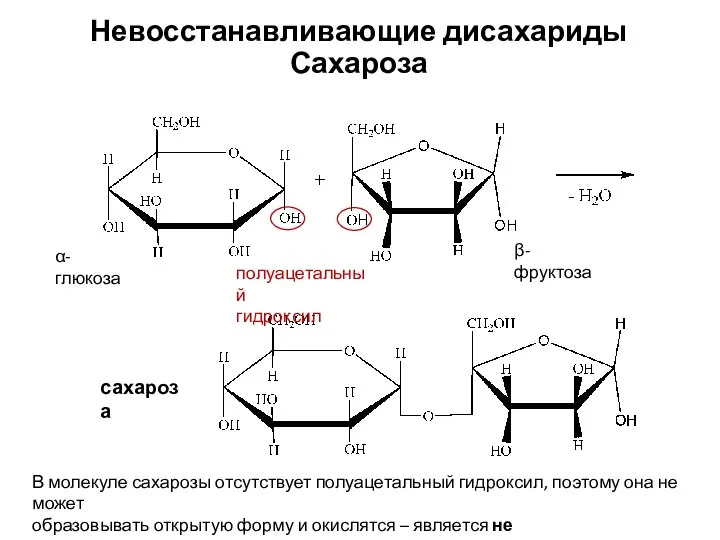 Невосстанавливающие дисахариды Сахароза α-глюкоза β-фруктоза полуацетальный гидроксил сахароза В молекуле сахарозы отсутствует