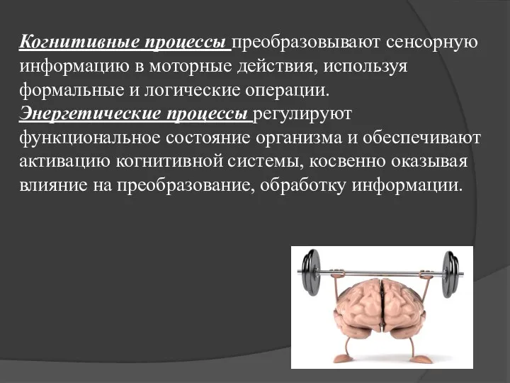 Когнитивные процессы преобразовывают сенсорную информацию в моторные действия, используя формальные и логические