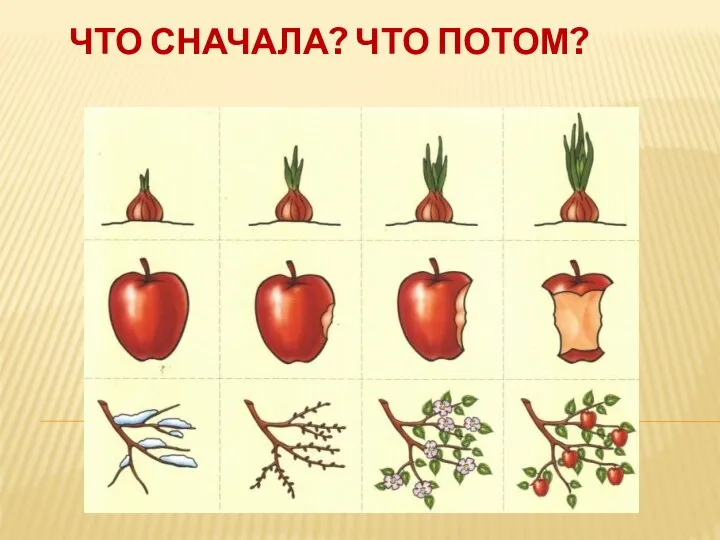 ЧТО СНАЧАЛА? ЧТО ПОТОМ?