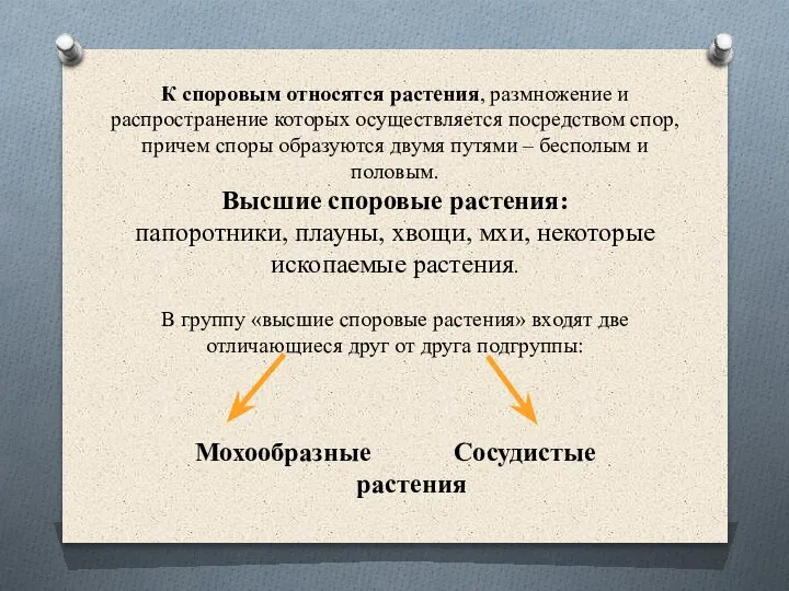 К споровым относятся растения, размножение и распространение которых осуществляется посредством спор, причем