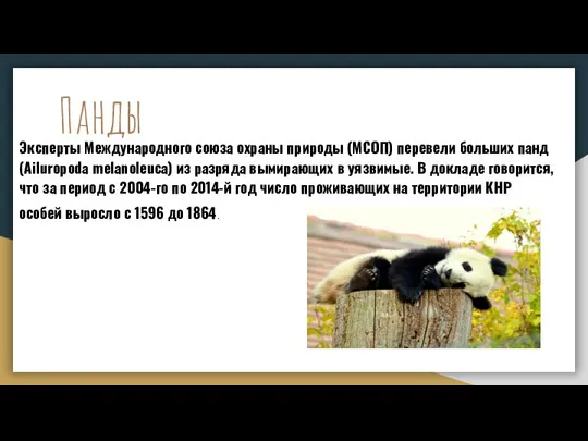 Панды Эксперты Международного союза охраны природы (МСОП) перевели больших панд (Ailuropoda melanoleuca)