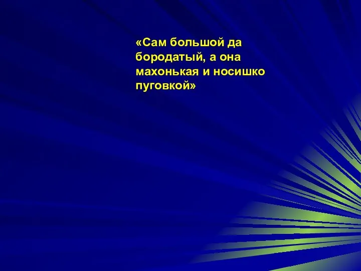 «Сам большой да бородатый, а она махонькая и носишко пуговкой»