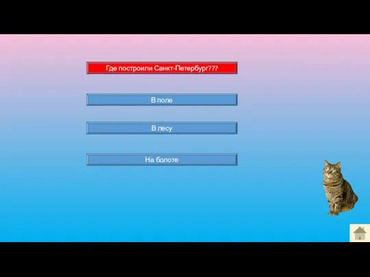 В поле В лесу Где построили Санкт-Петербург??? На болоте