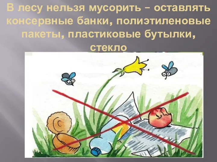 В лесу нельзя мусорить – оставлять консервные банки, полиэтиленовые пакеты, пластиковые бутылки, стекло