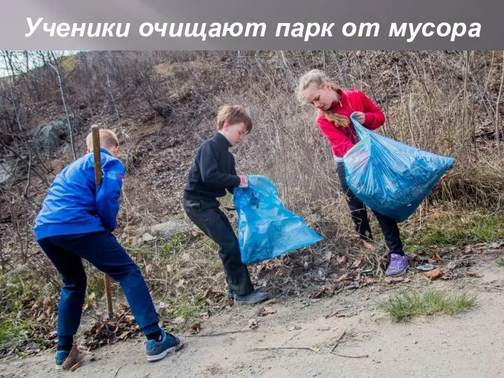 Ученики очищают парк от мусора