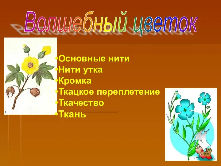 Волшебный цветок Основные нити Нити утка Кромка Ткацкое переплетение Ткачество Ткань