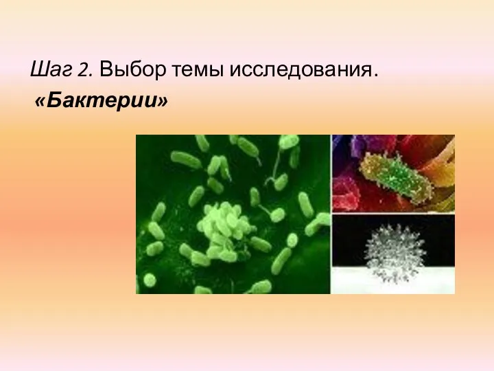 Шаг 2. Выбор темы исследования. «Бактерии»