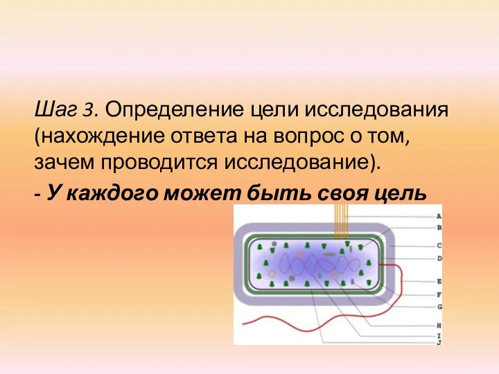 Шаг 3. Определение цели исследования (нахождение отве­та на вопрос о том, зачем