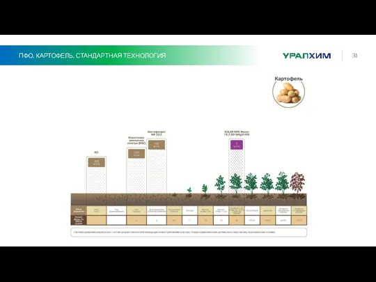 ПФО. КАРТОФЕЛЬ. СТАНДАРТНАЯ ТЕХНОЛОГИЯ