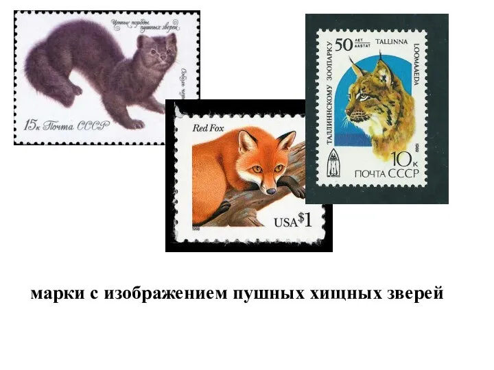 марки с изображением пушных хищных зверей
