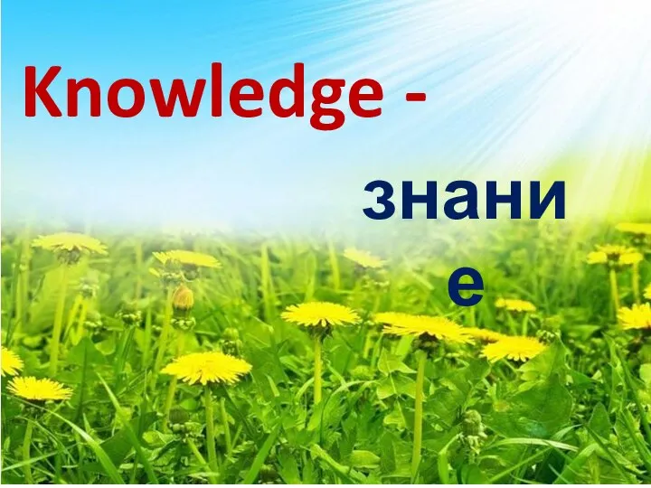Knowledge - знание