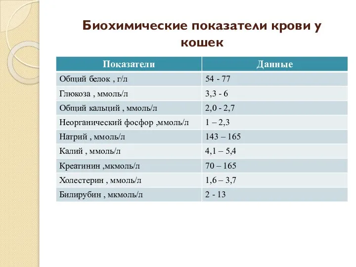 Биохимические показатели крови у кошек