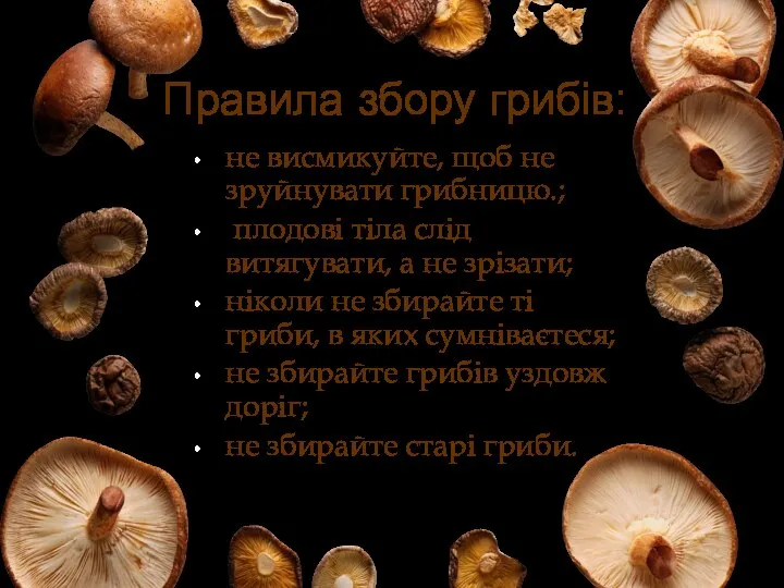 Правила збору грибів: не висмикуйте, щоб не зруйнувати грибницю.; плодові тіла слід