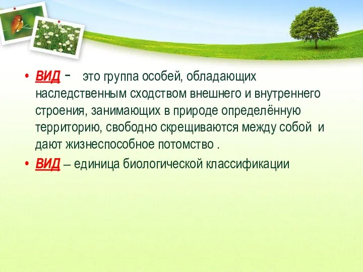 ВИД - это группа особей, обладающих наследственным сходством внешнего и внутреннего строения,