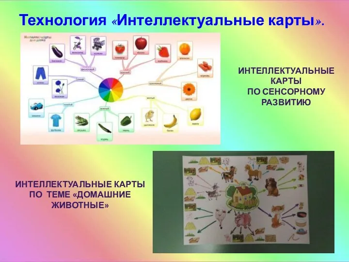 Технология «Интеллектуальные карты». ИНТЕЛЛЕКТУАЛЬНЫЕ КАРТЫ ПО СЕНСОРНОМУ РАЗВИТИЮ ИНТЕЛЛЕКТУАЛЬНЫЕ КАРТЫ ПО ТЕМЕ «ДОМАШНИЕ ЖИВОТНЫЕ»