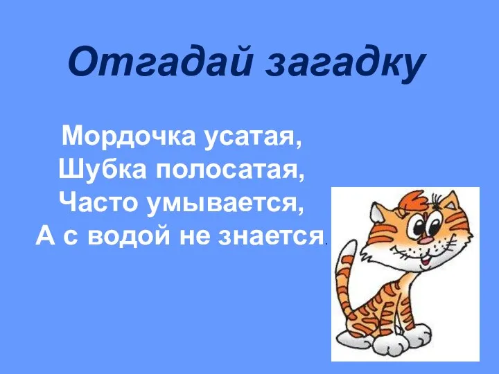 Мордочка усатая, Шубка полосатая, Часто умывается, А с водой не знается. Отгадай загадку