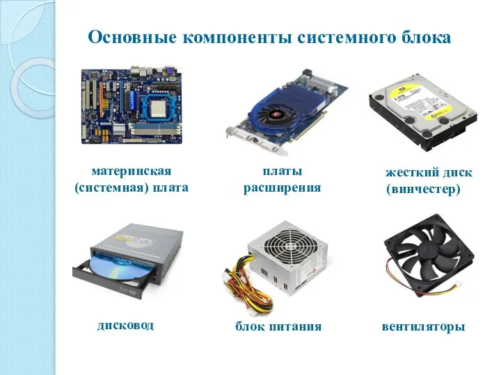 Основные компоненты системного блока вентиляторы материнская (системная) плата платы расширения дисковод блок питания жесткий диск (винчестер)