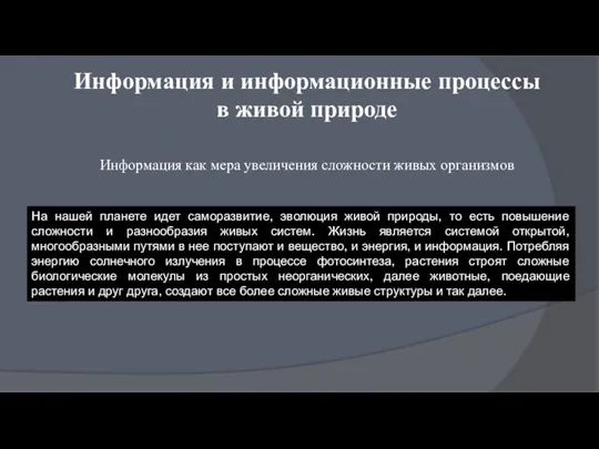 Информация и информационные процессы в живой природе Информация как мера увеличения сложности